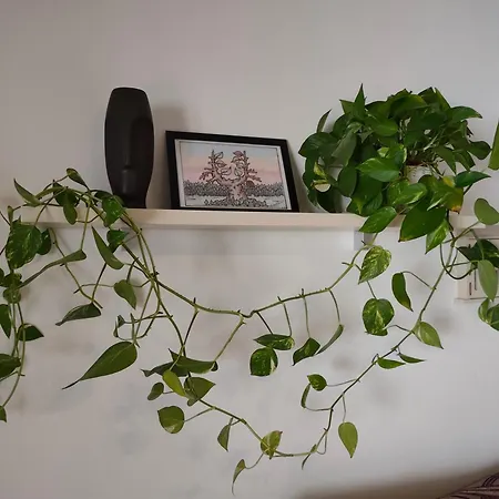 Sea Carnation Well Located, Pool & Terrace