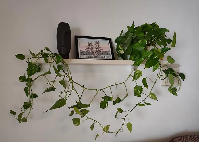 Sea Carnation Well Located, Pool & Terrace